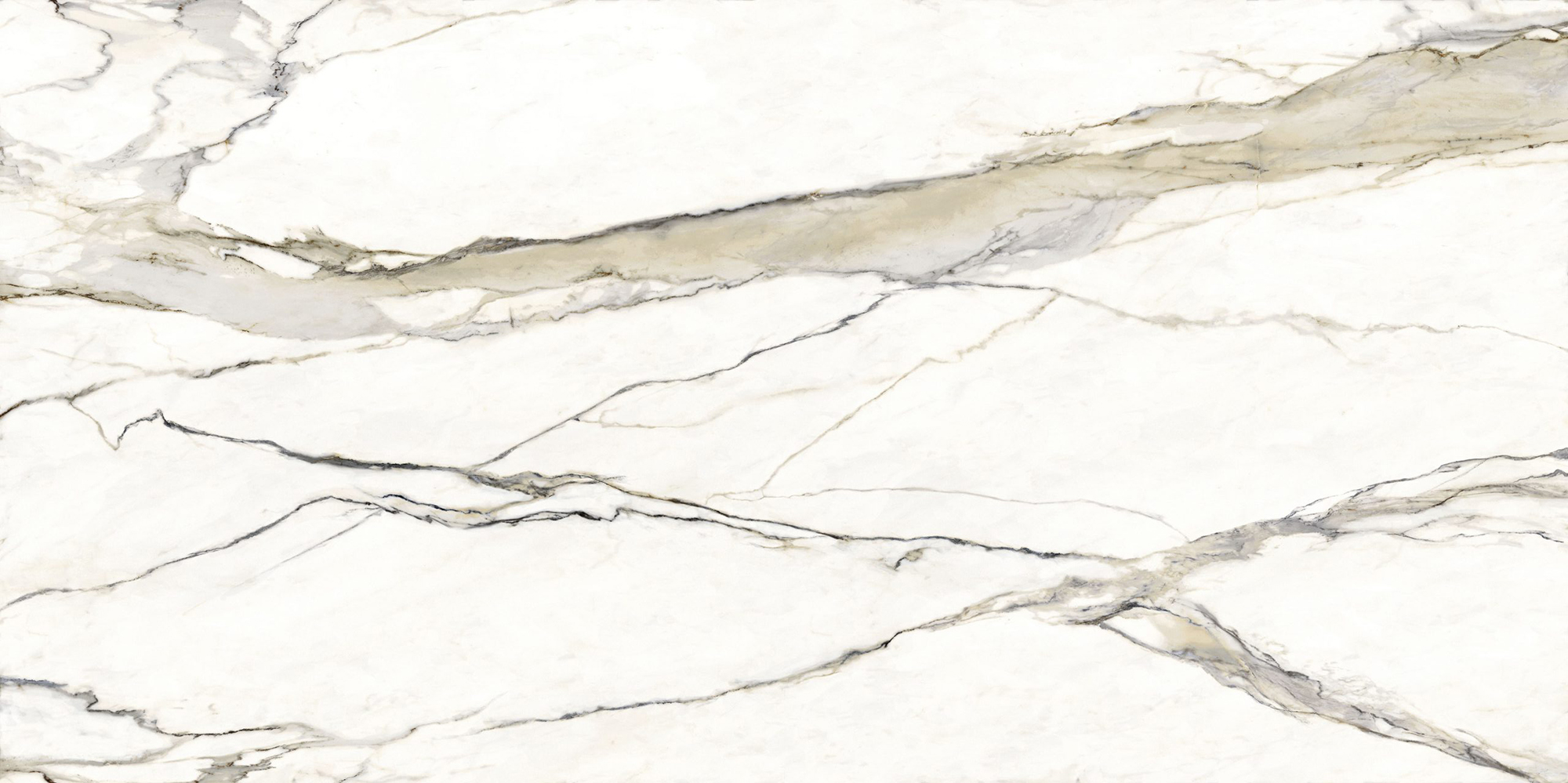 Gold Calacatta